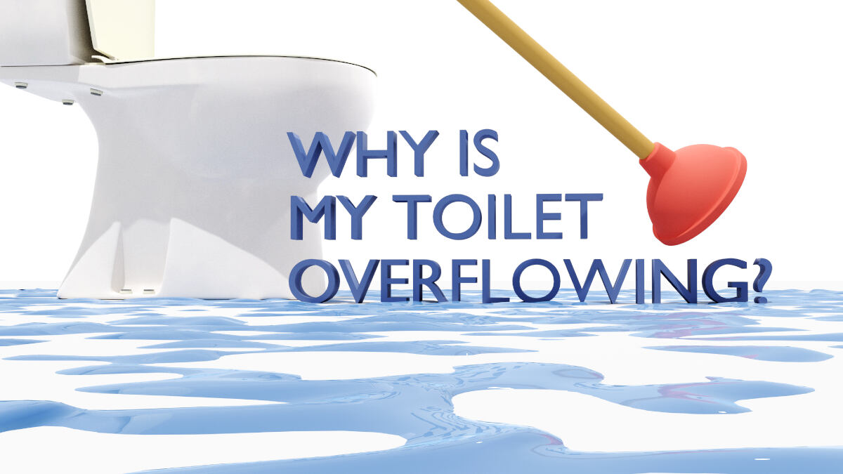 Why Is My Toilet Overflowing? JD Precision Plumbing Services