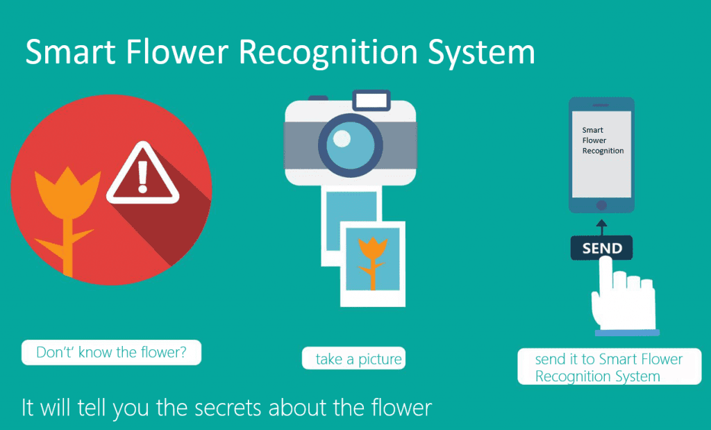 Know the flowers more with Microsoft’s Smart Flower Recognition System