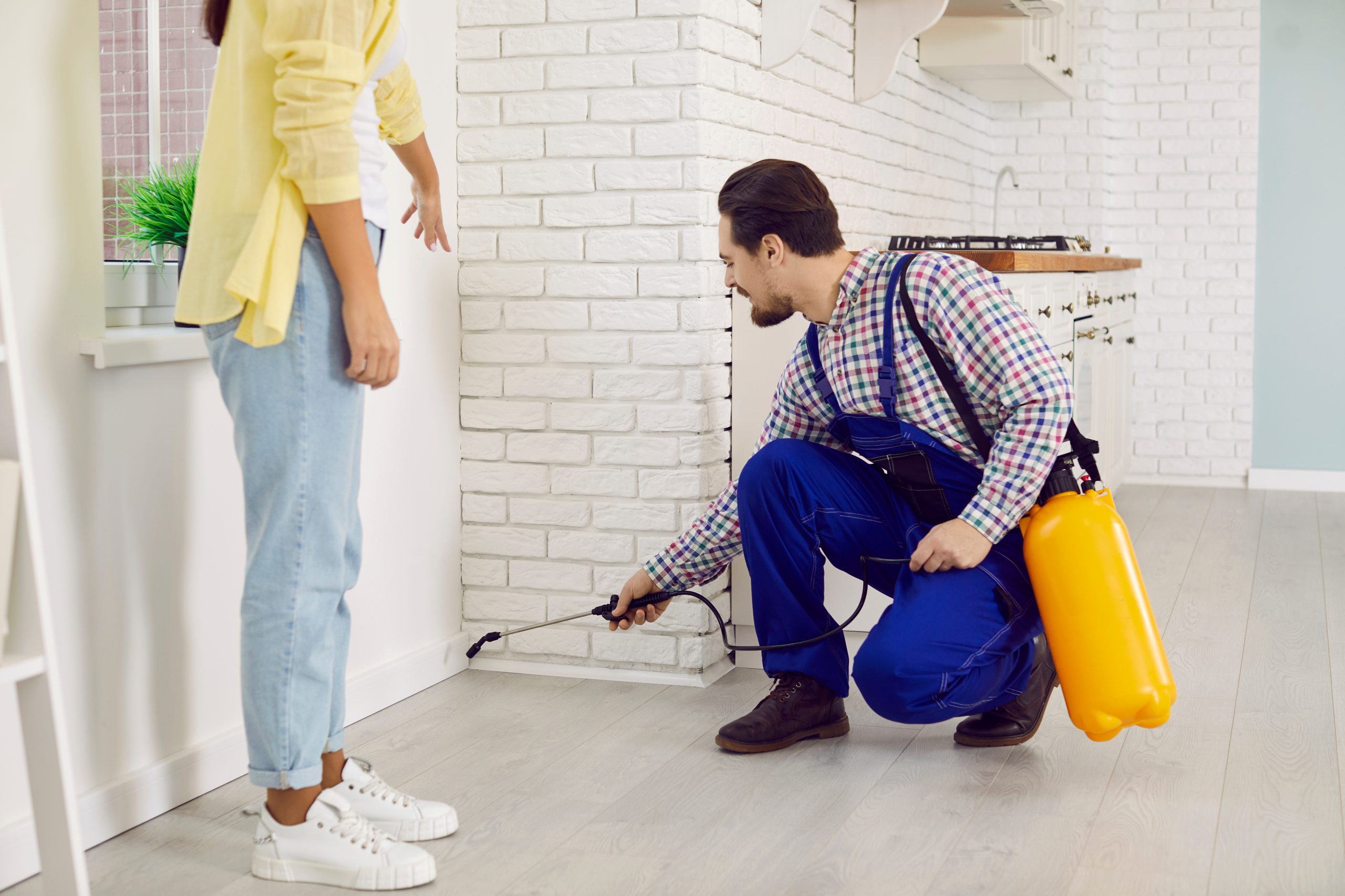 What is the fastest way to kill carpenter ants? Birch Fumigators