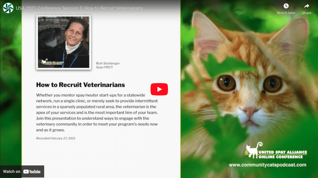 Session 3 How to Recruit Veterinarians Ruth Steinberger, SPAY First