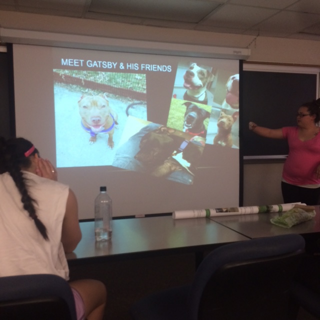 Stevenson University