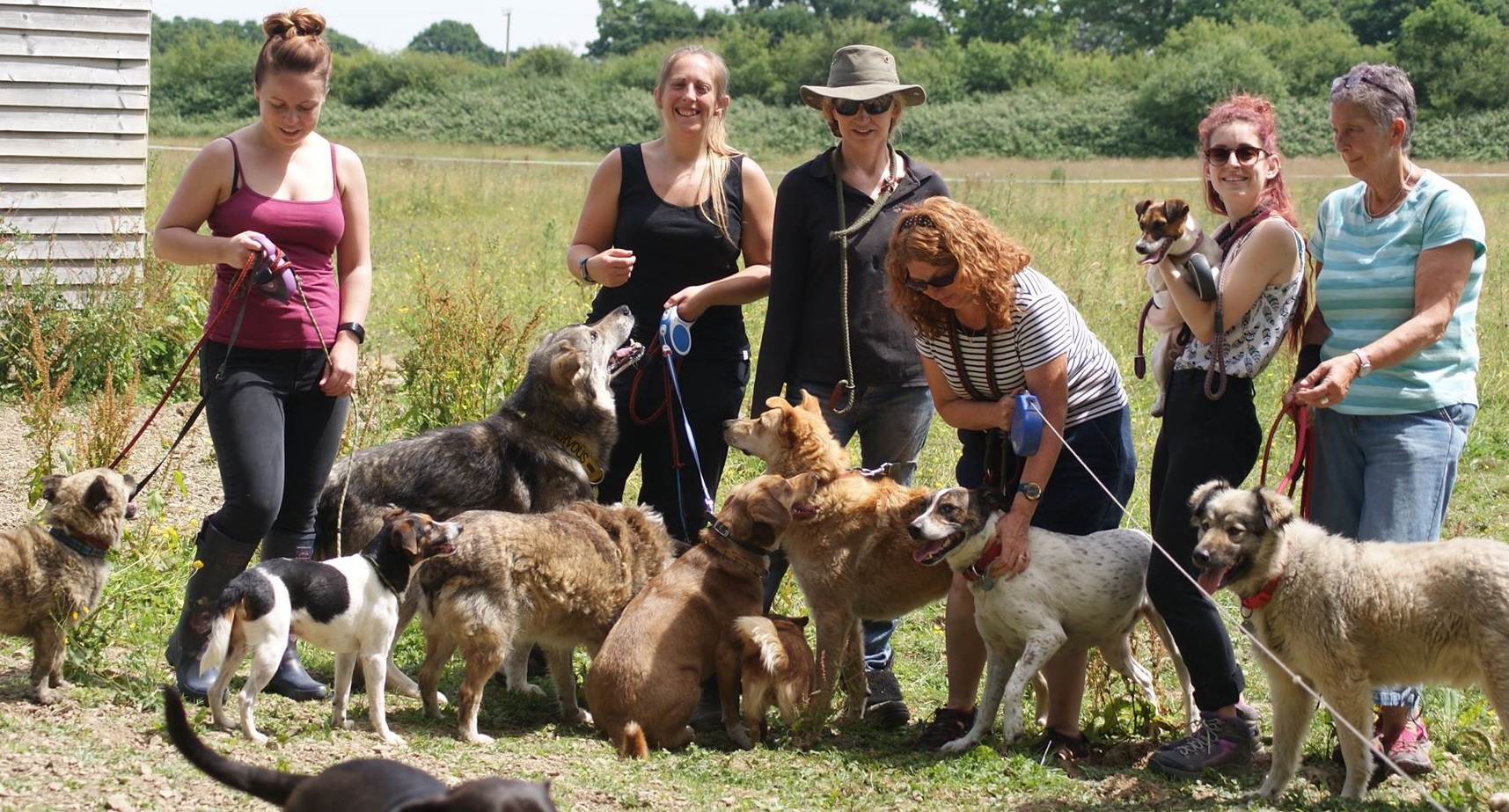 D.W. Nye presents Holbrook Animal Rescue with £500 funding Builders Merchants Journal BMJ