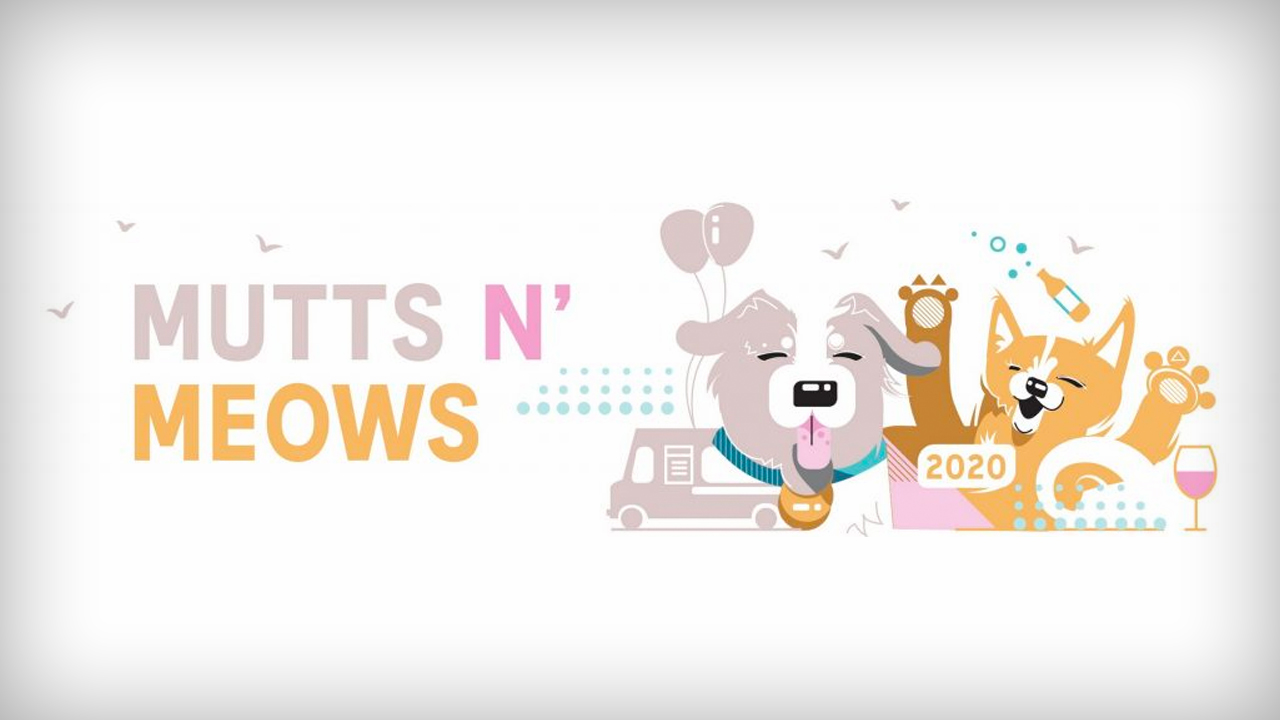 Mutts n’ Meows Mixer Idaho Humane Society