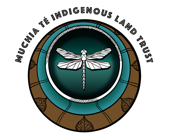 Muchia Té Indigenous Land Trust an Indigenous womenled organization