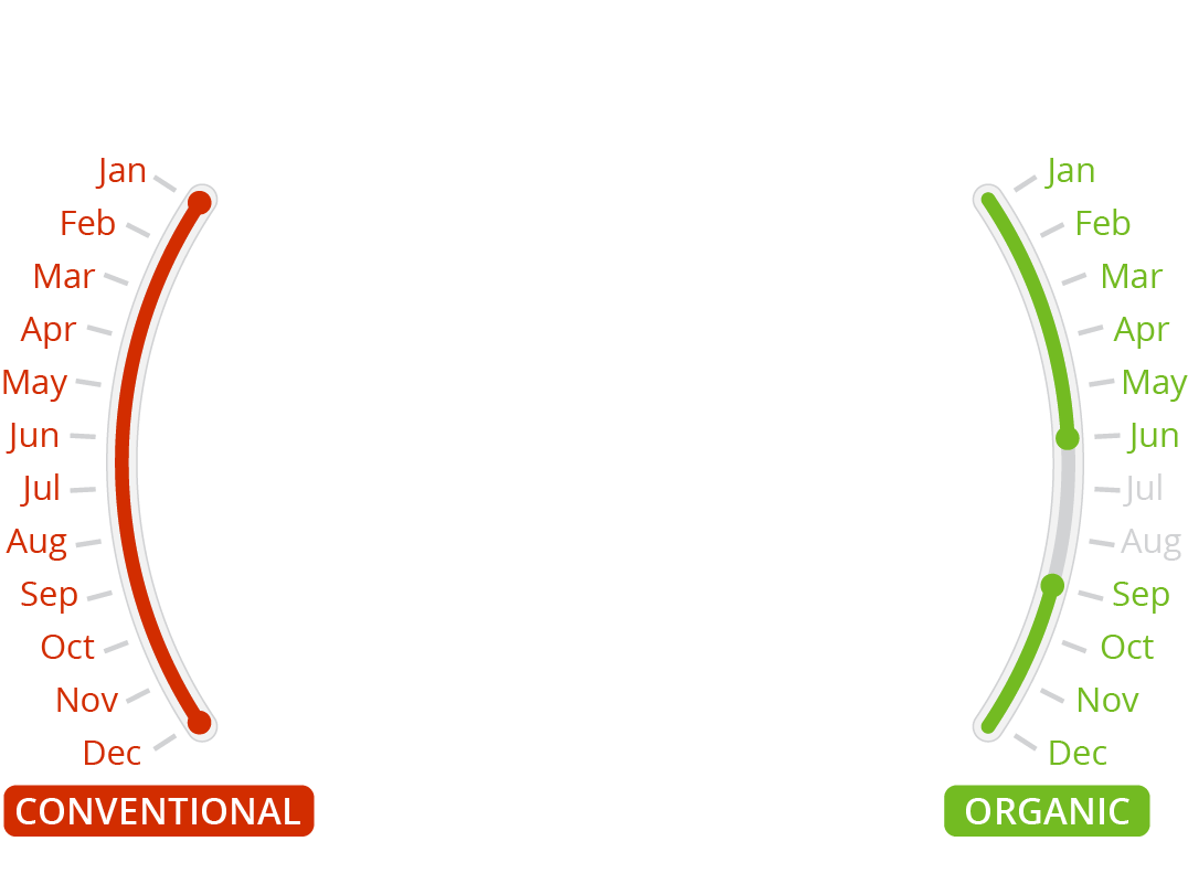 Golden Delicious FirstFruit Farms