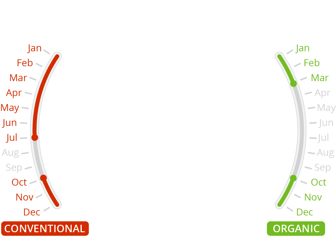 Pink Lady FirstFruit Farms