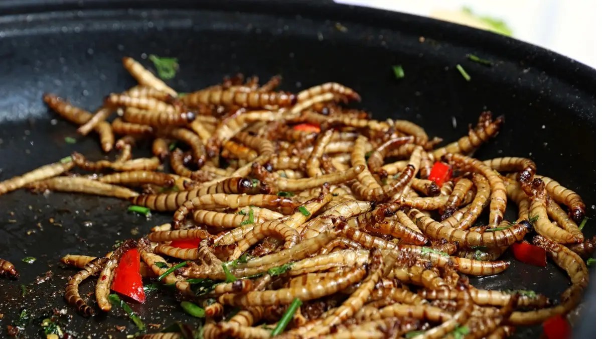 Mealworm Nutrition Facts