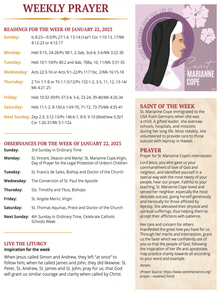 Jan 22, 2023 Reflections St. James Cazenovia Church