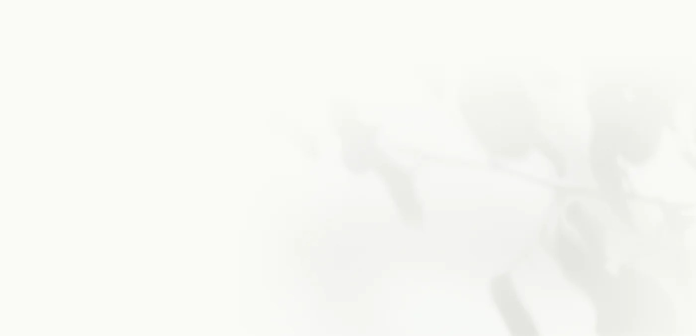 Balayage Hair Salon in Raleigh & Wendell Menagerie Style House