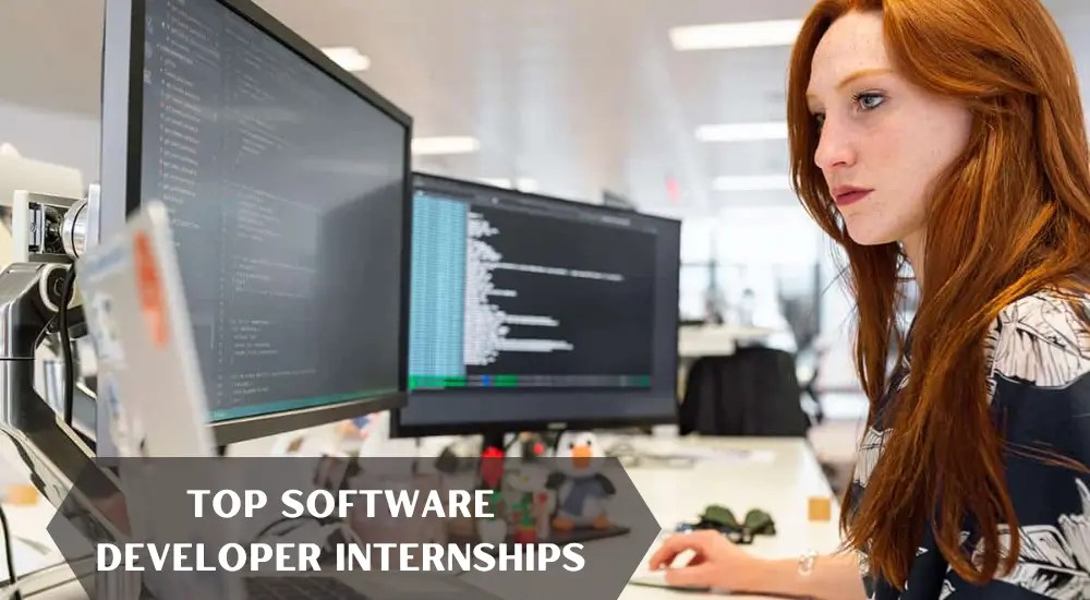 Top Software Developer Internships 2023 2024 Big Internships