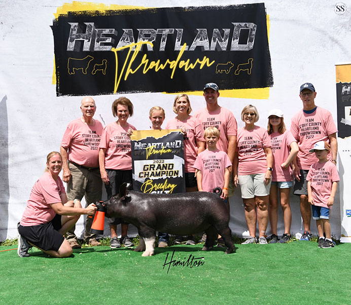 GRAND CHAMPION BREEDING GILT 2022 Heartland Throwdown, IA Edge