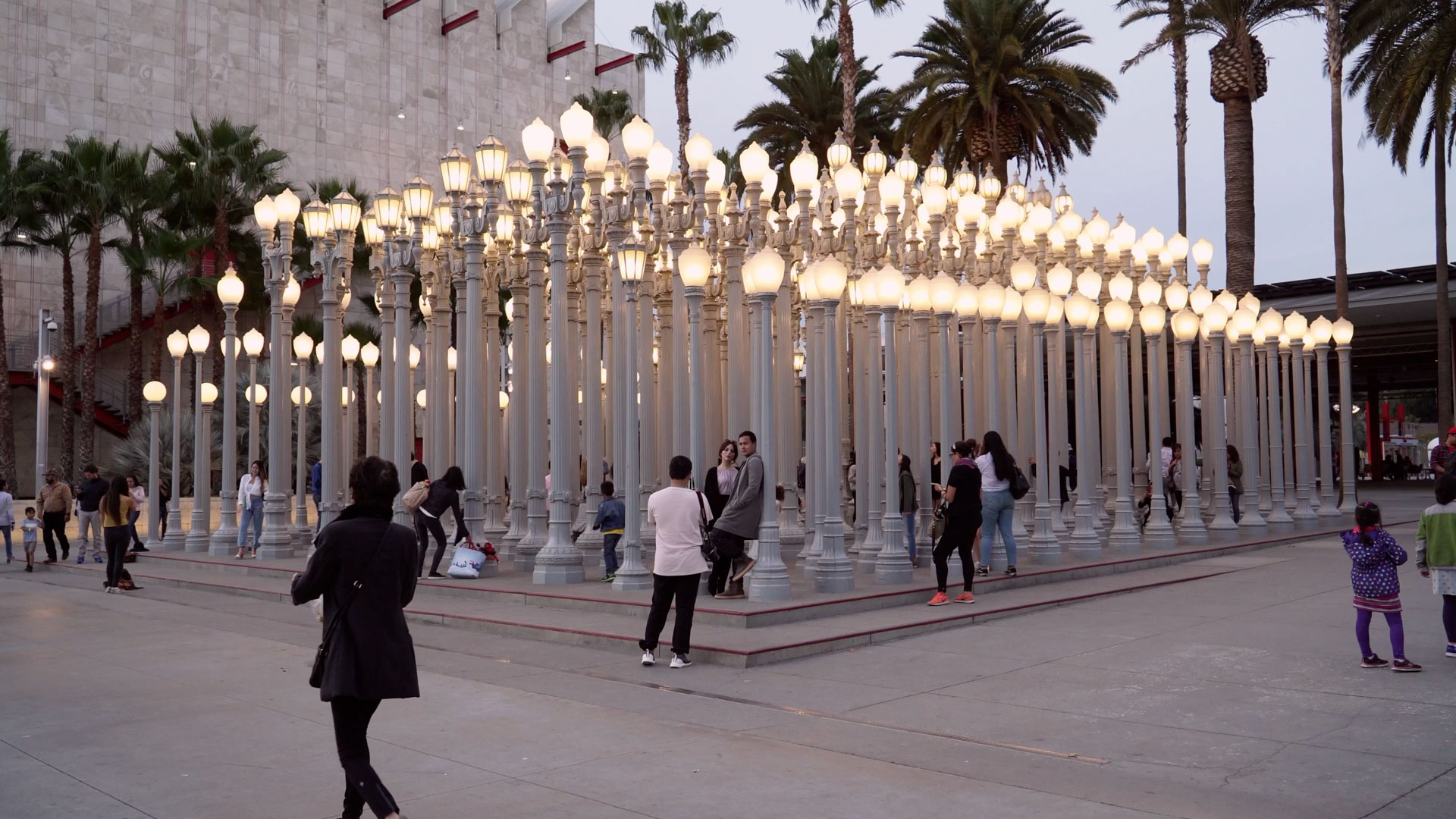 Home The Van Vleck Law Firm