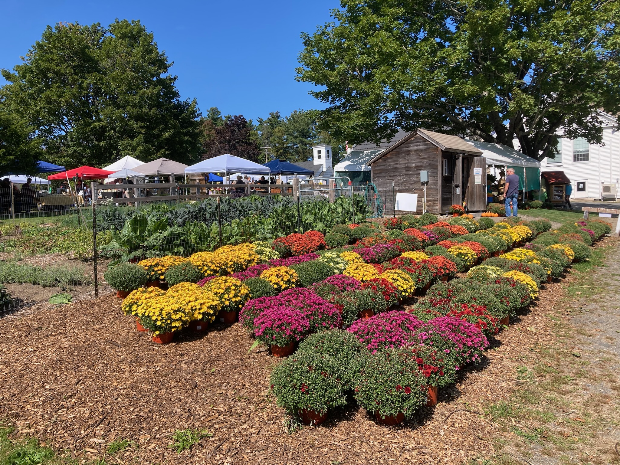 Oliver’s Farm Stand Hilltown Directory