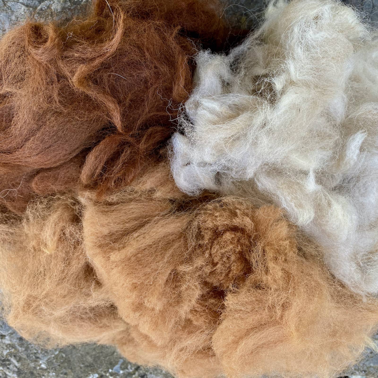 Raw Alpaca Fiber