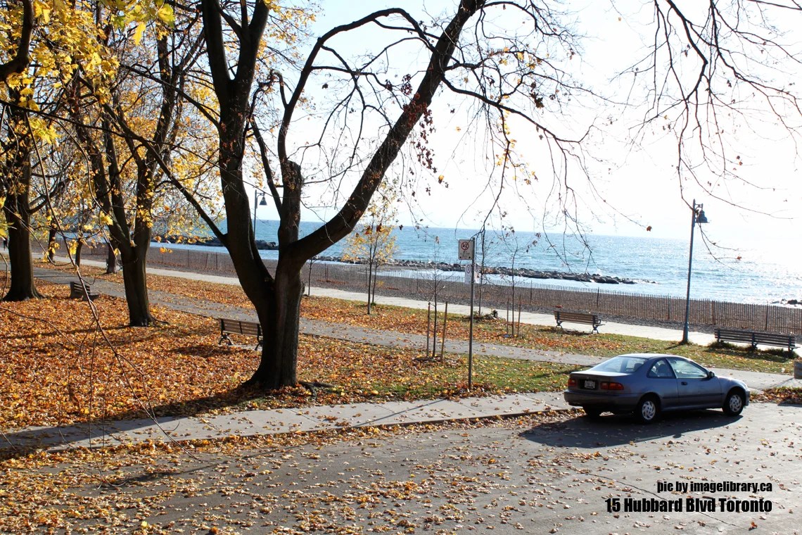 Pictures Of Living On The Beach Toronto Rental Of 15 Hubbard Blvd Toronto