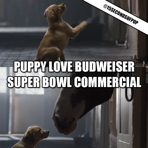 Puppy Love Super Bowl Budweiser Commercial 15secondsofpop