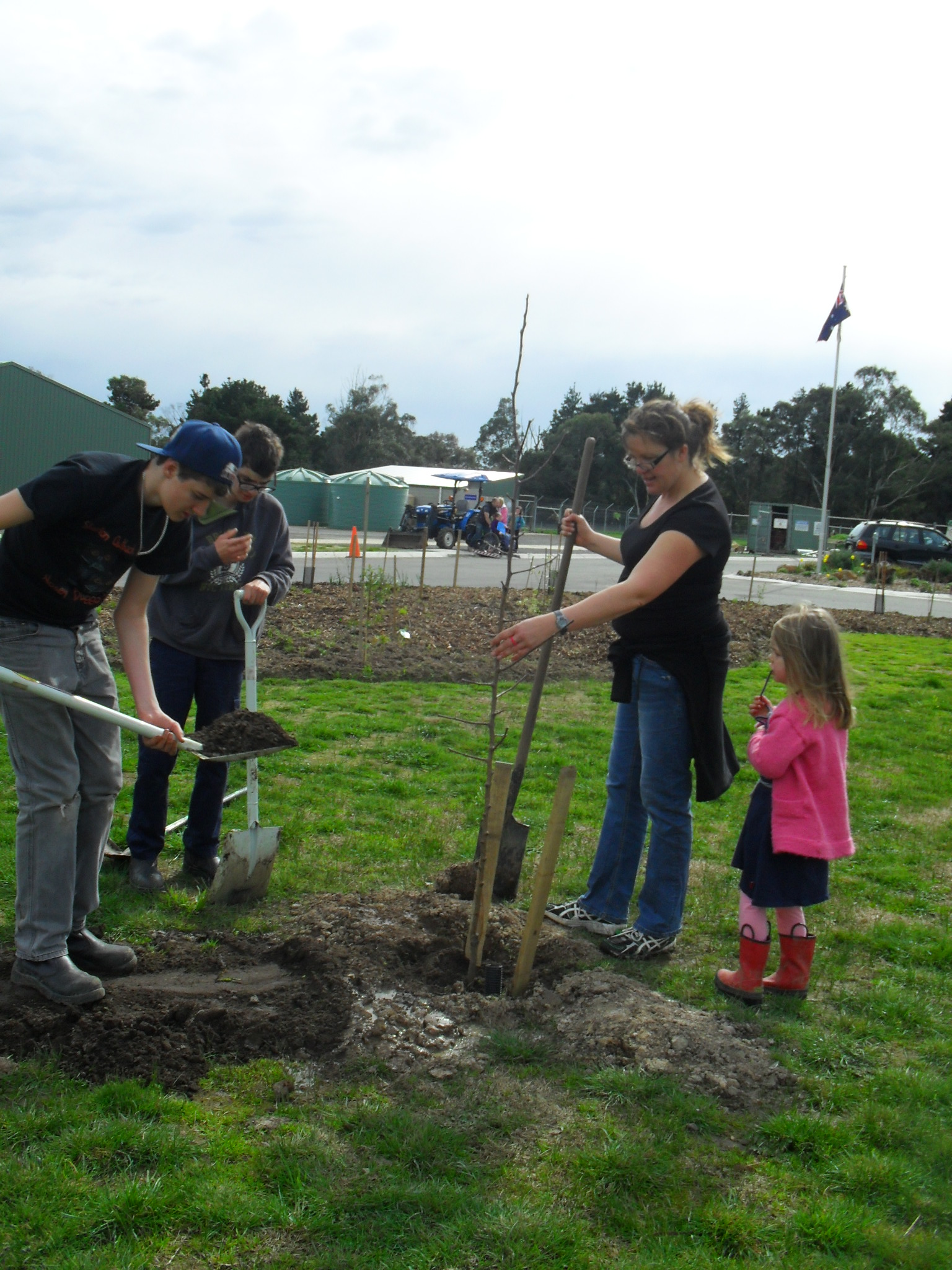 Ballarat Specialist Farm, Victoria. fifteen trees