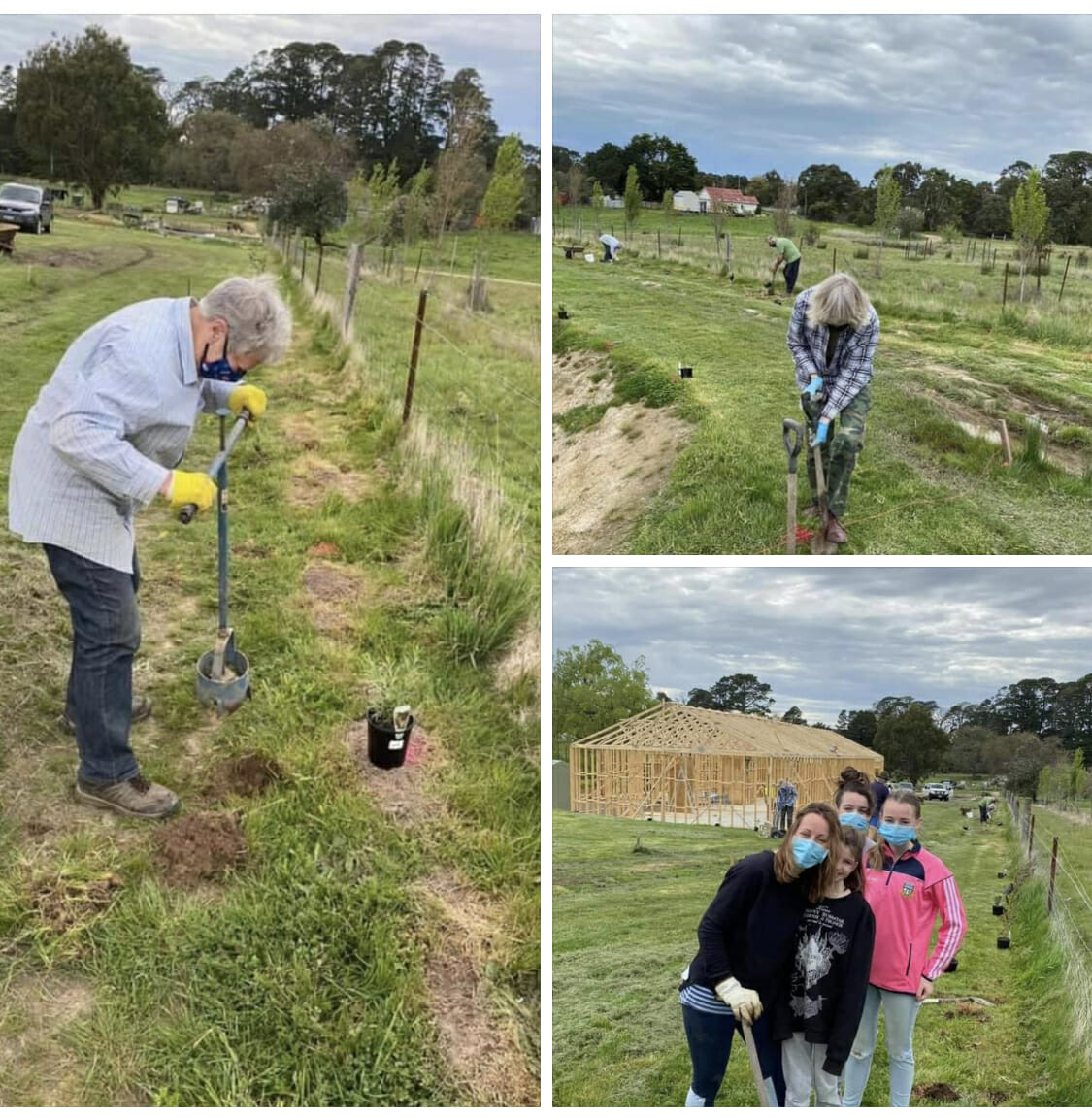 CHW. An essential community utility. Fifteen Trees