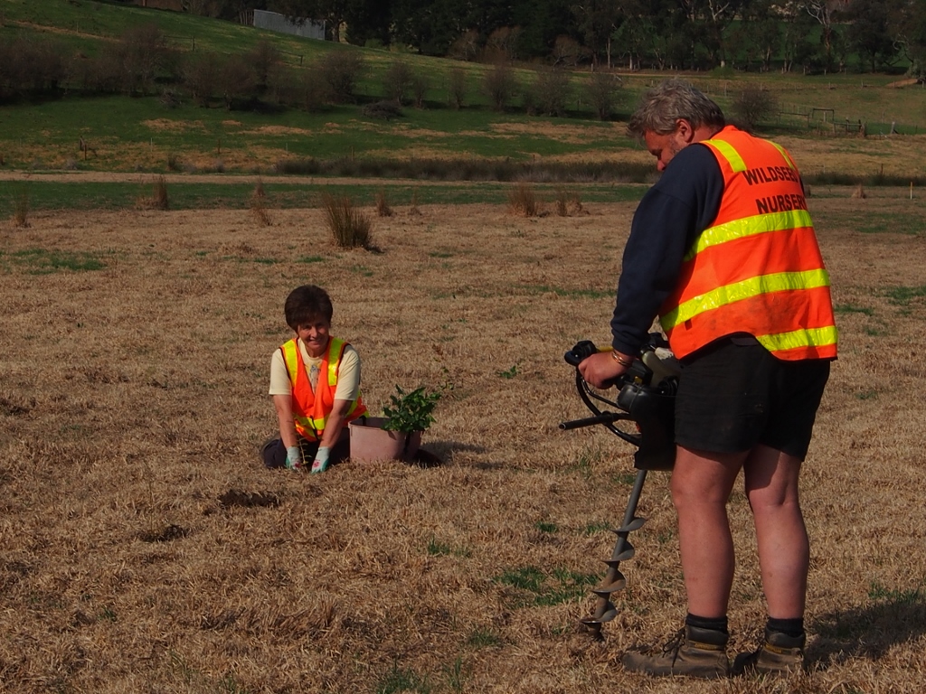 Wy Yung, Bairnsdale, Vic. Fifteen Trees