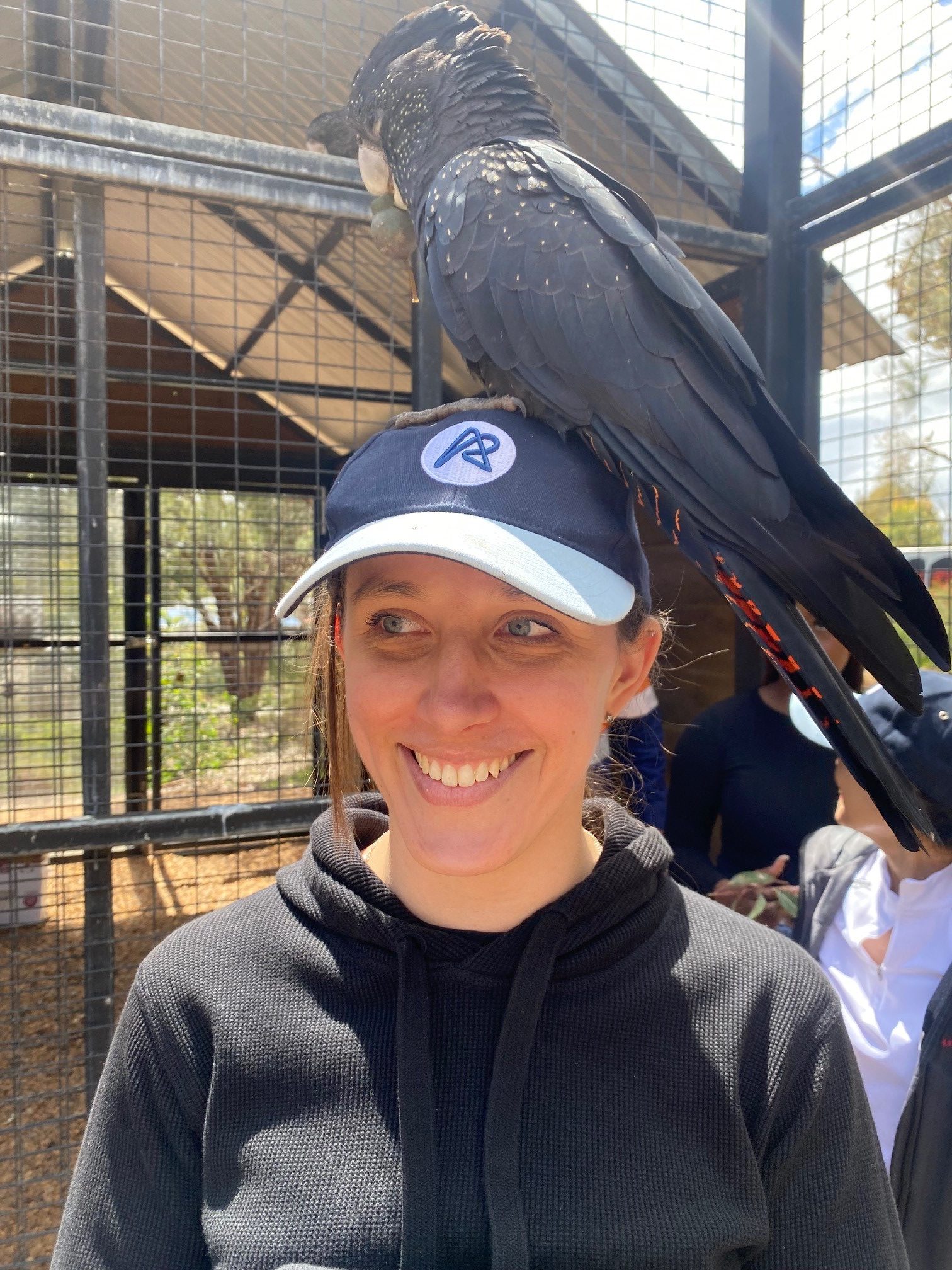 Saving the iconic Black Cockatoo. Fifteen Trees