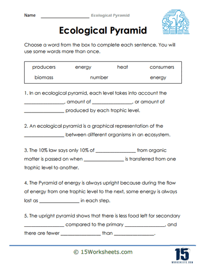 Ecological Pyramid Worksheets - 15 Worksheets.com