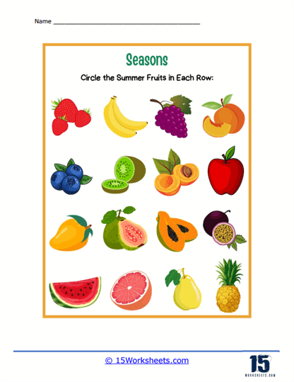 Seasons Worksheets - 15 Worksheets.com