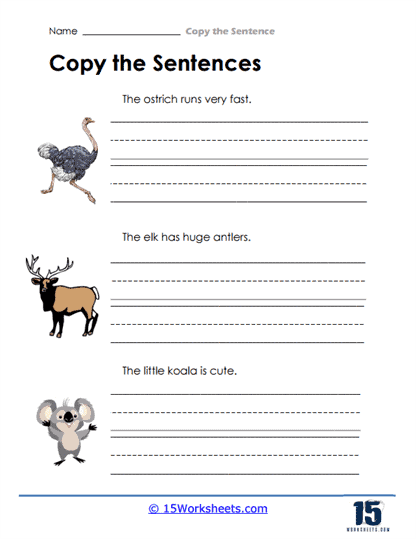 Copy the Sentence Worksheets - 15 Worksheets.com