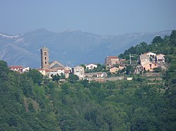 Ilustracja