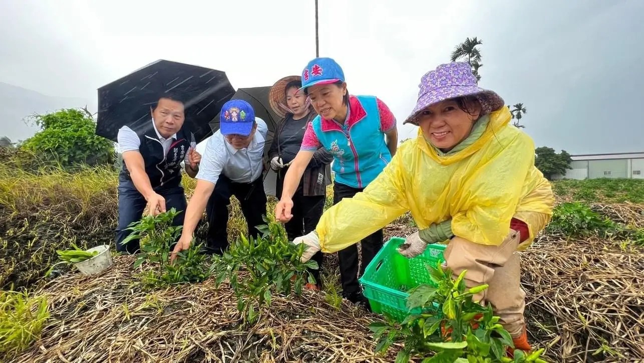 吉安鄉防範風災偕農民研擬防颱 游淑貞、張德奇走入田間關心現況