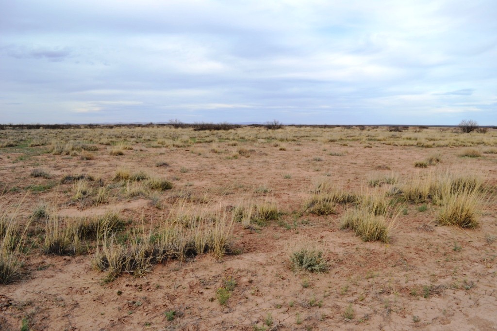 Sunshine Valley Ranchettes land for sale