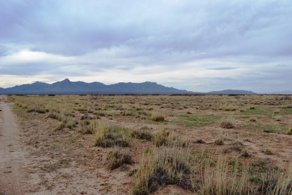 Sunshine Valley Ranchettes land for sale