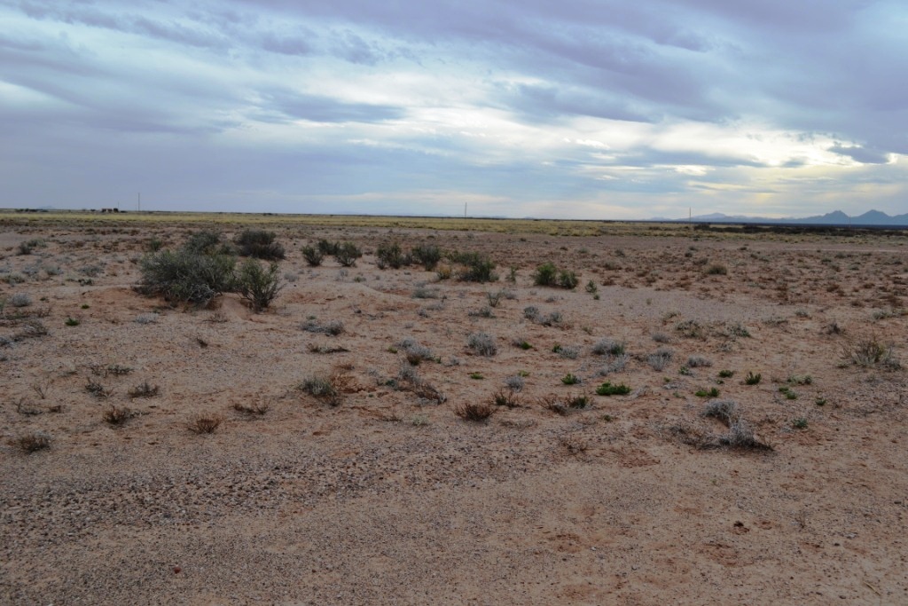 Sunshine Valley Ranchettes land for sale