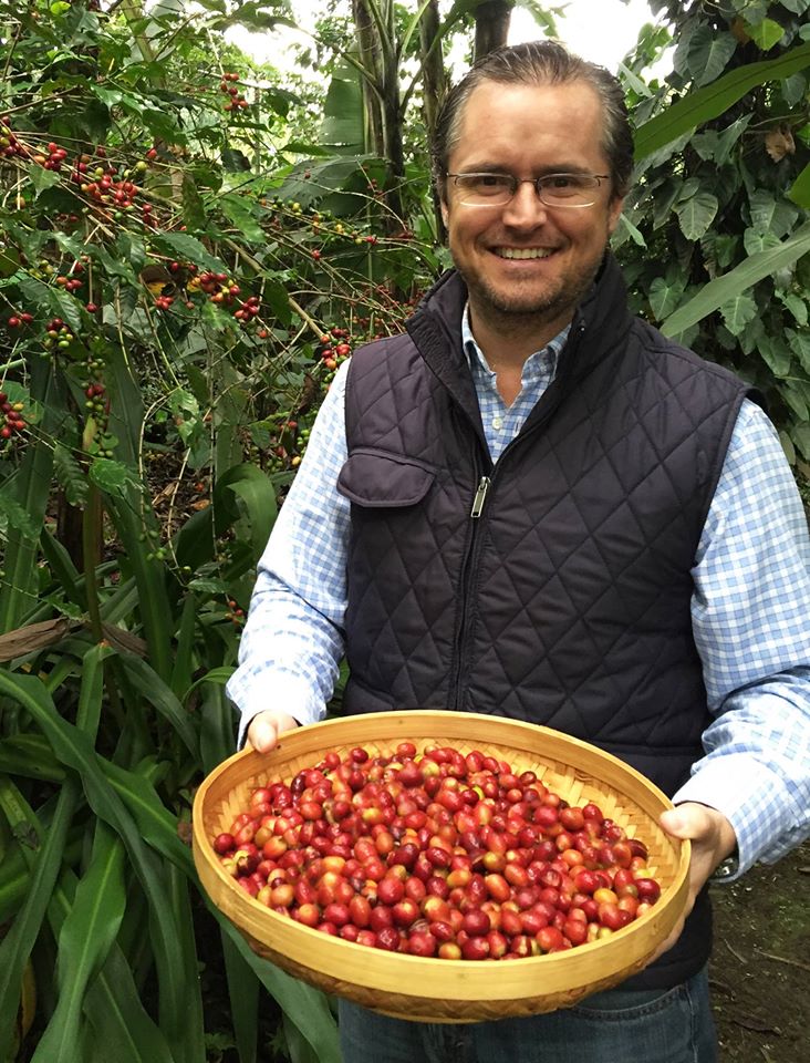 Do Hand Picked Cherry Beans Lead To A BetterQuality Coffee? 1888