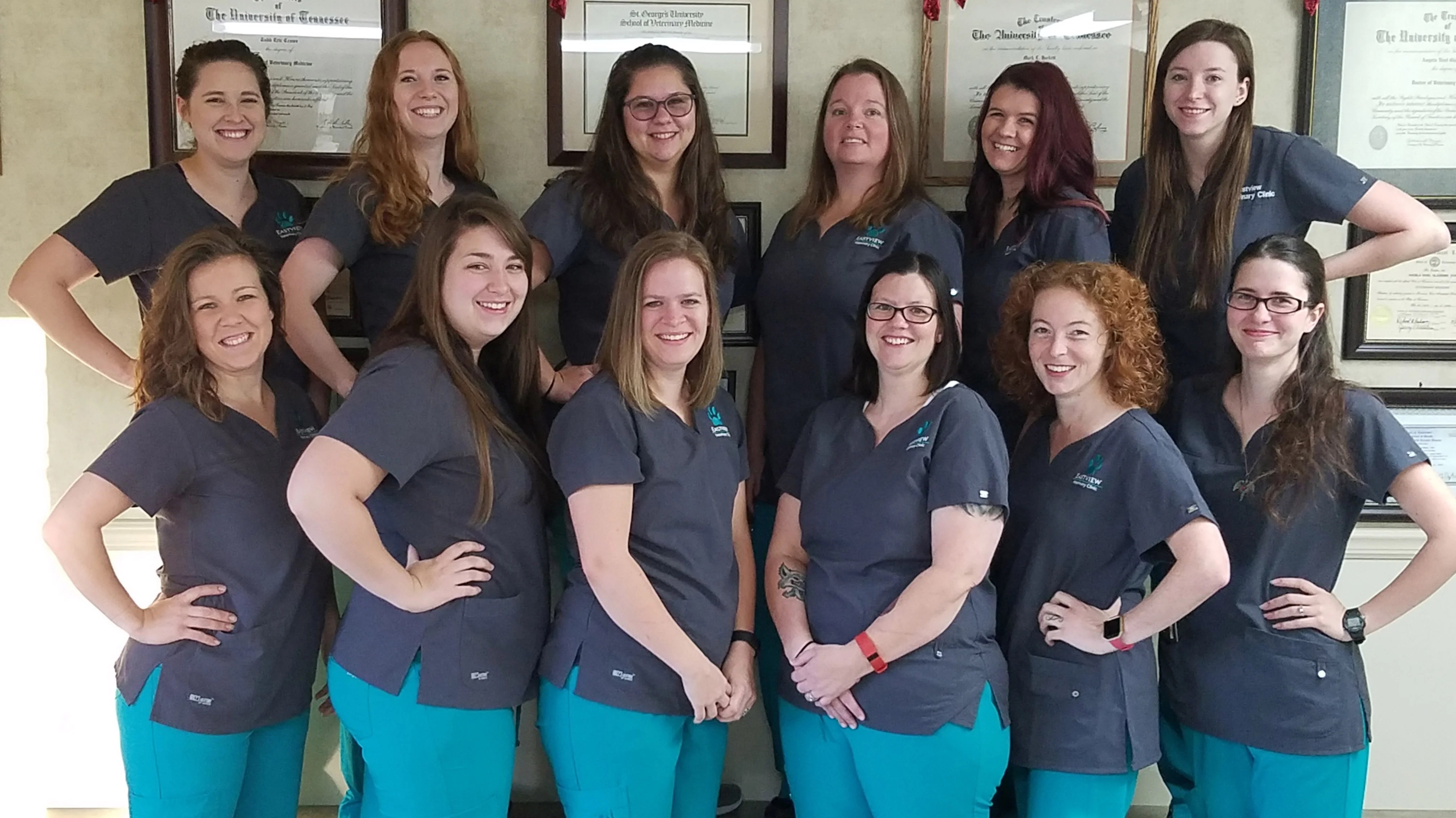 Meet the Team Eastview Veterinary Clinic