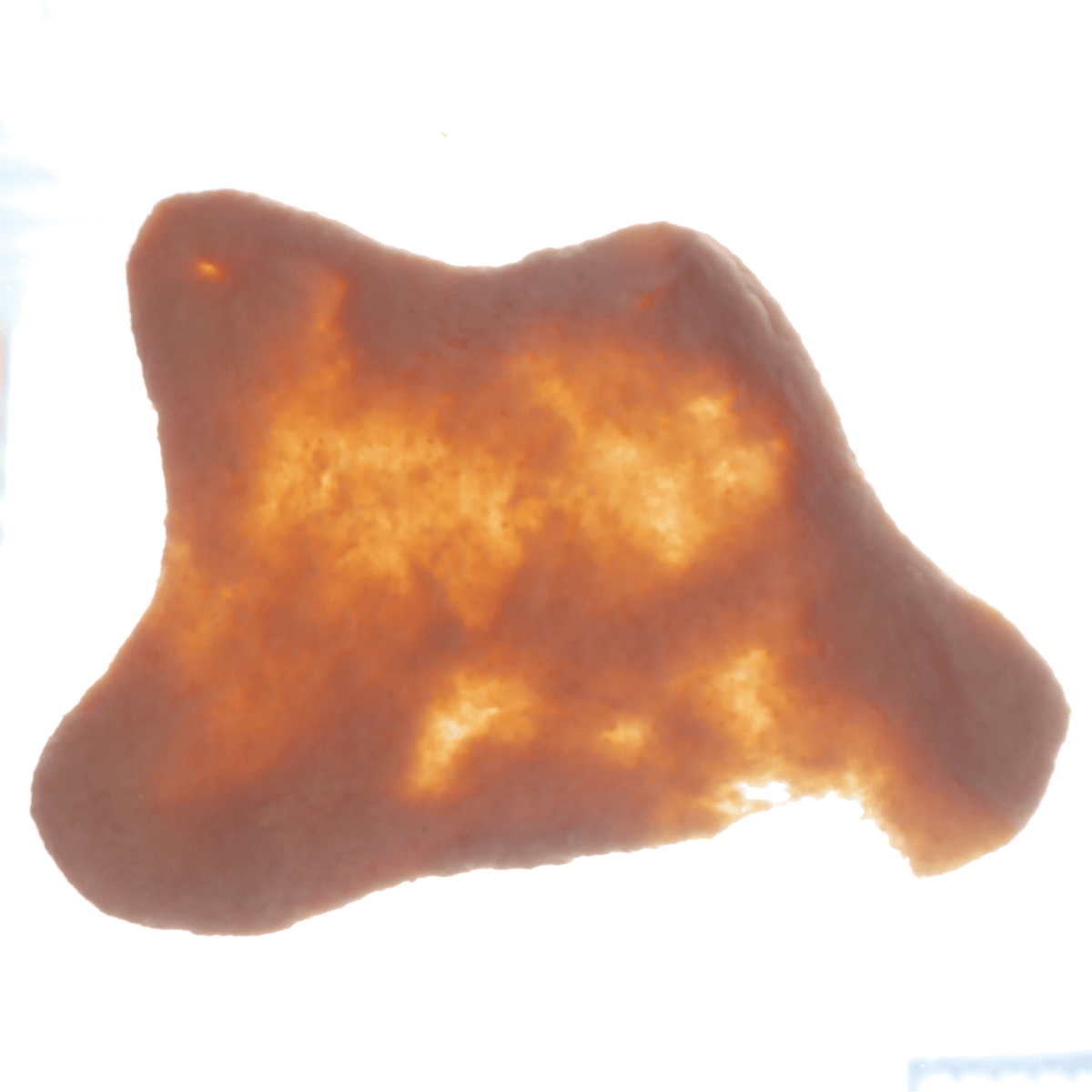 Canning Leftover Soup A Step by Step Guide 1898 Mama