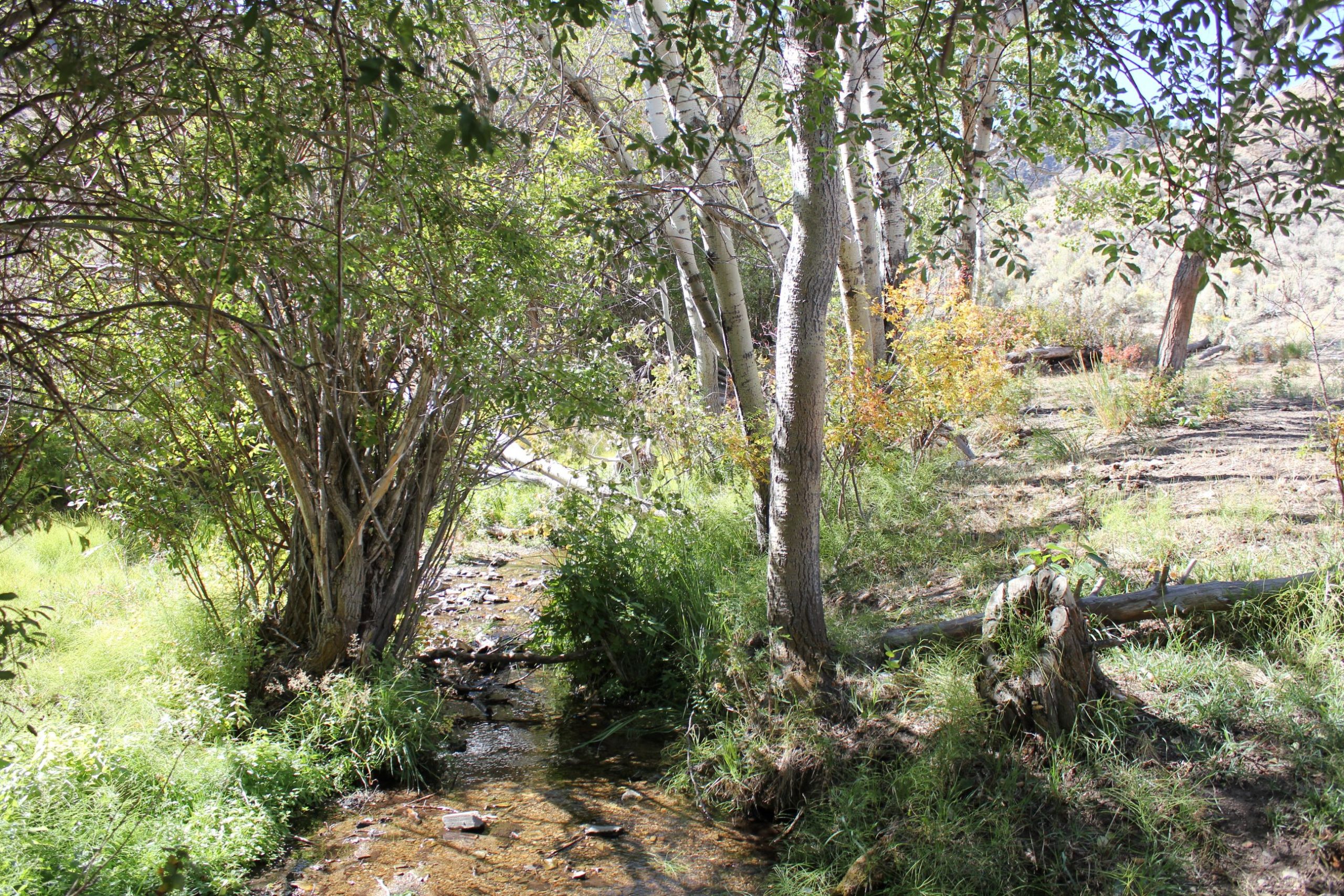 MT Ranches for Sale Sugarloaf Mountain Getaway 18 Land Company