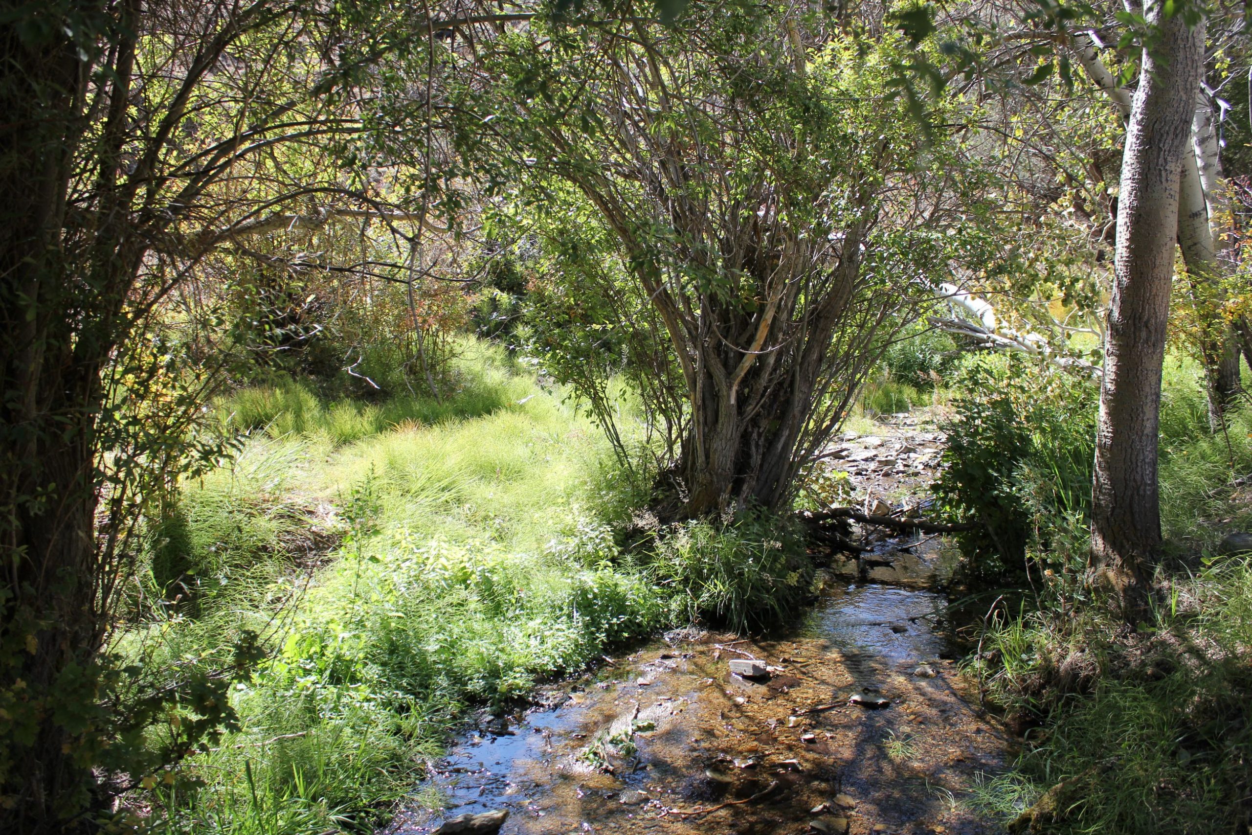 MT Ranches for Sale Sugarloaf Mountain Getaway 18 Land Company