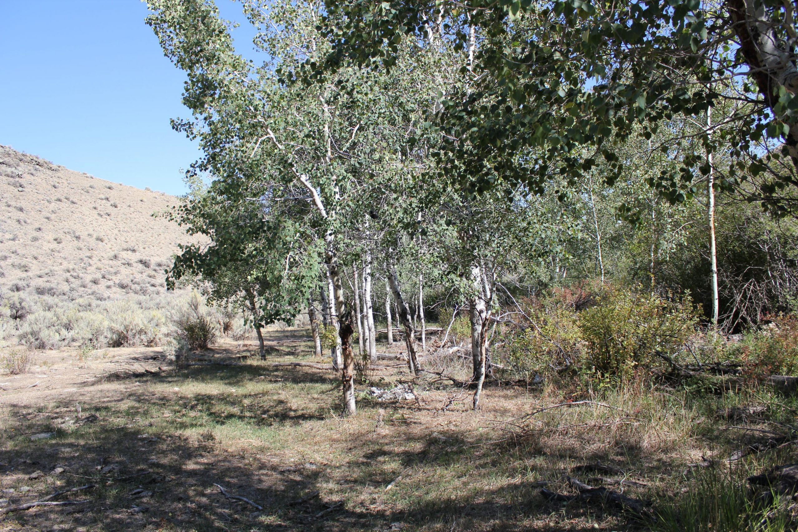 MT Ranches for Sale Sugarloaf Mountain Getaway 18 Land Company