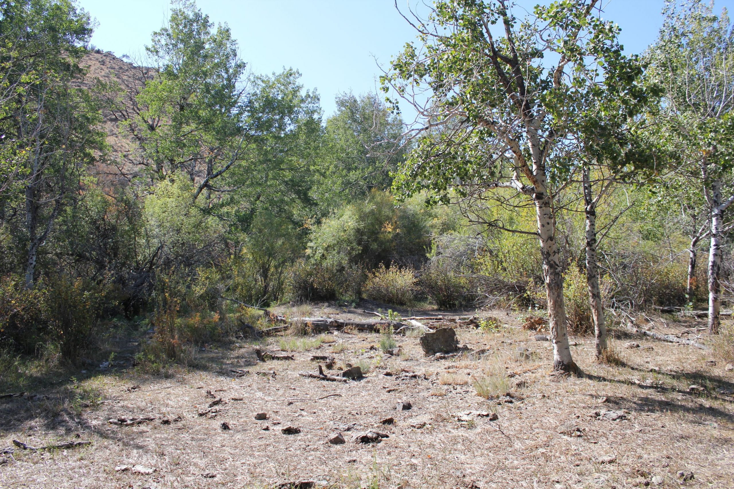 MT Ranches for Sale Sugarloaf Mountain Getaway 18 Land Company