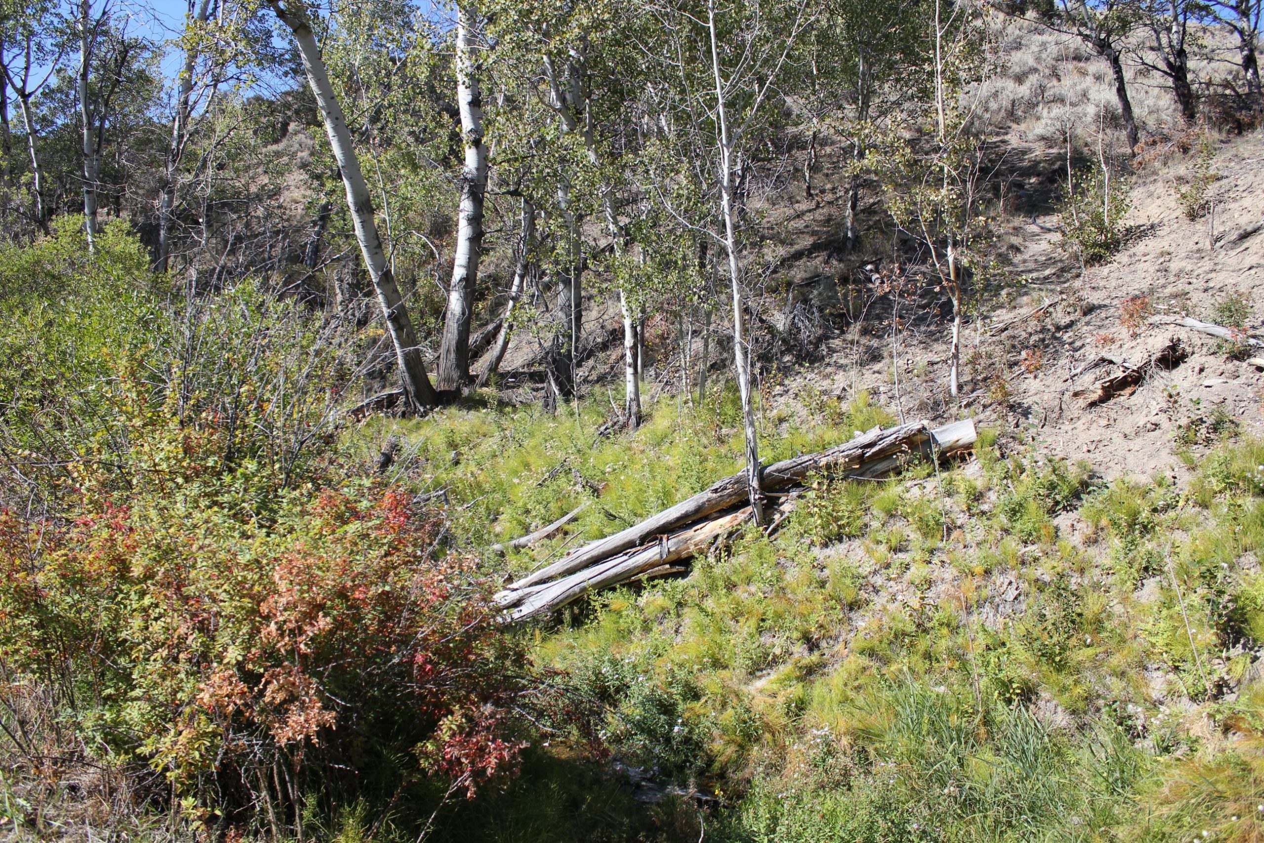 MT Ranches for Sale Sugarloaf Mountain Getaway 18 Land Company