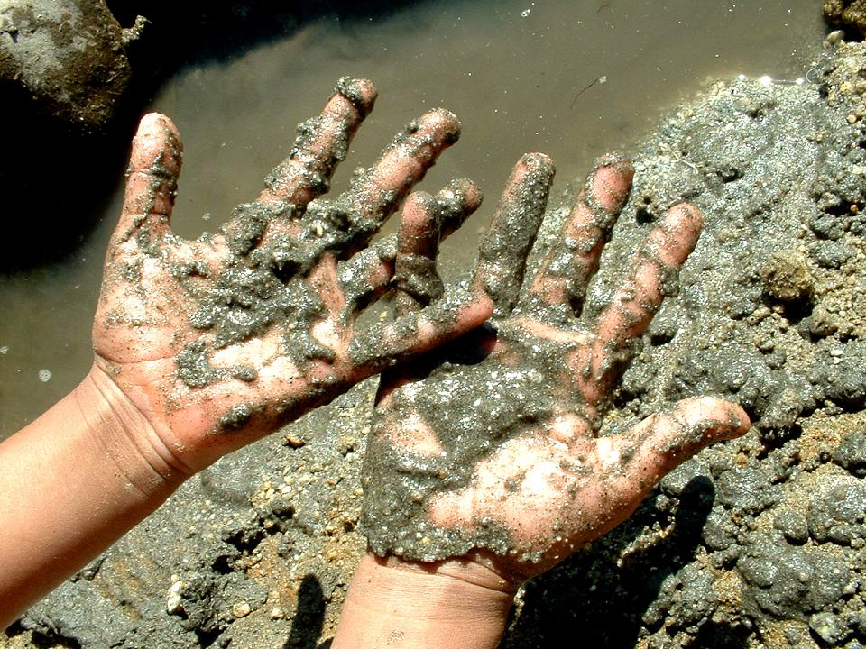 What does getting muddy have to do with selfesteem? 1901