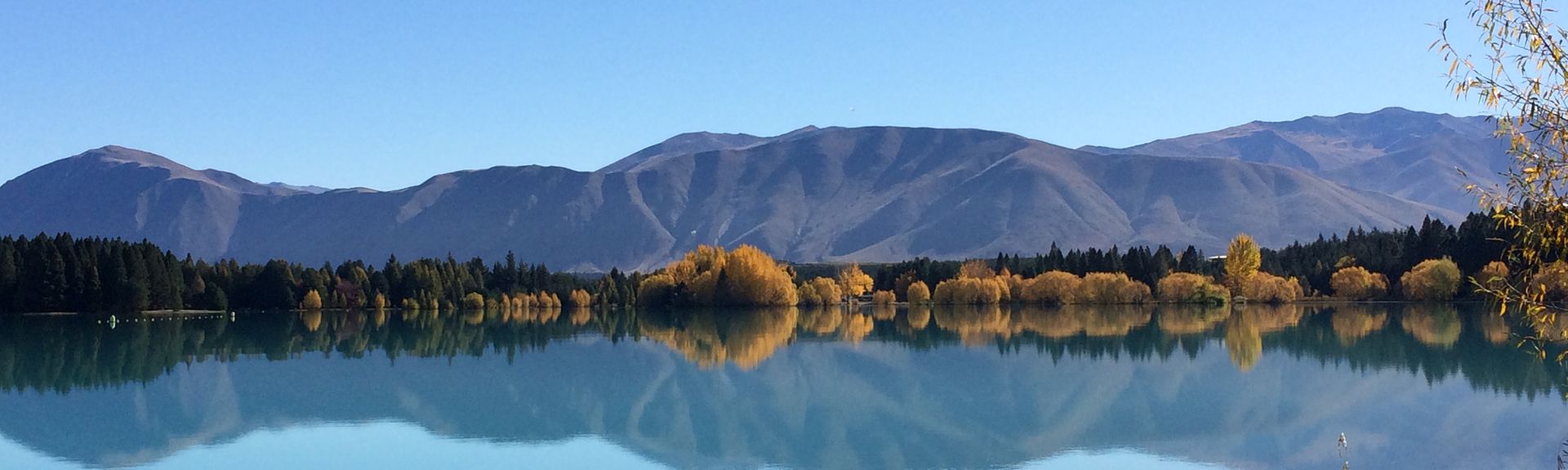How to Make the Most of Your Twizel Experience