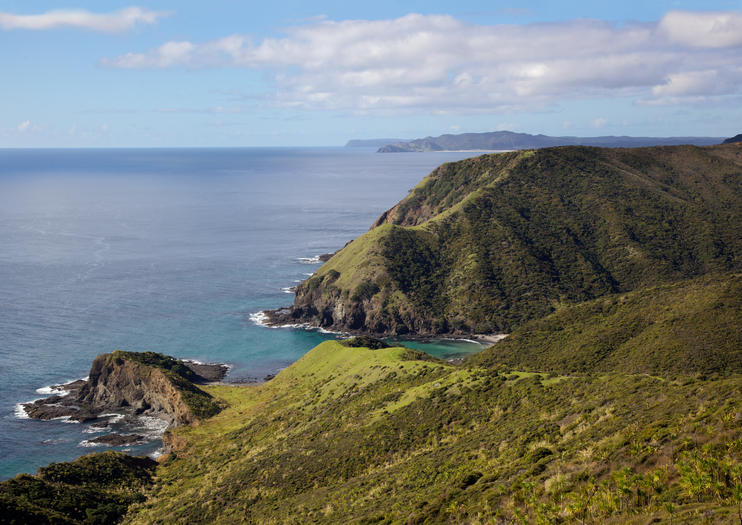Are Dogs Allowed At Cape Reinga
