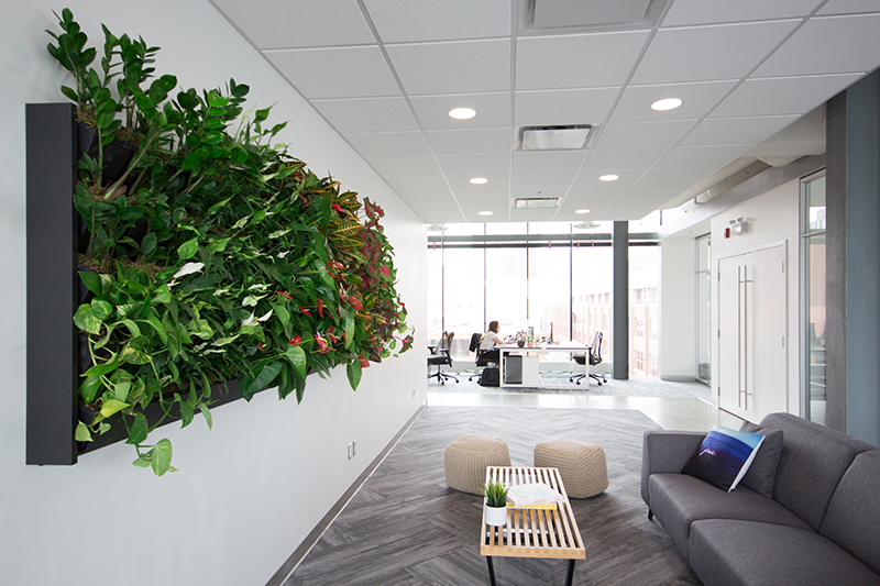 Office Living Wall in Modern Office Design 19 Islands