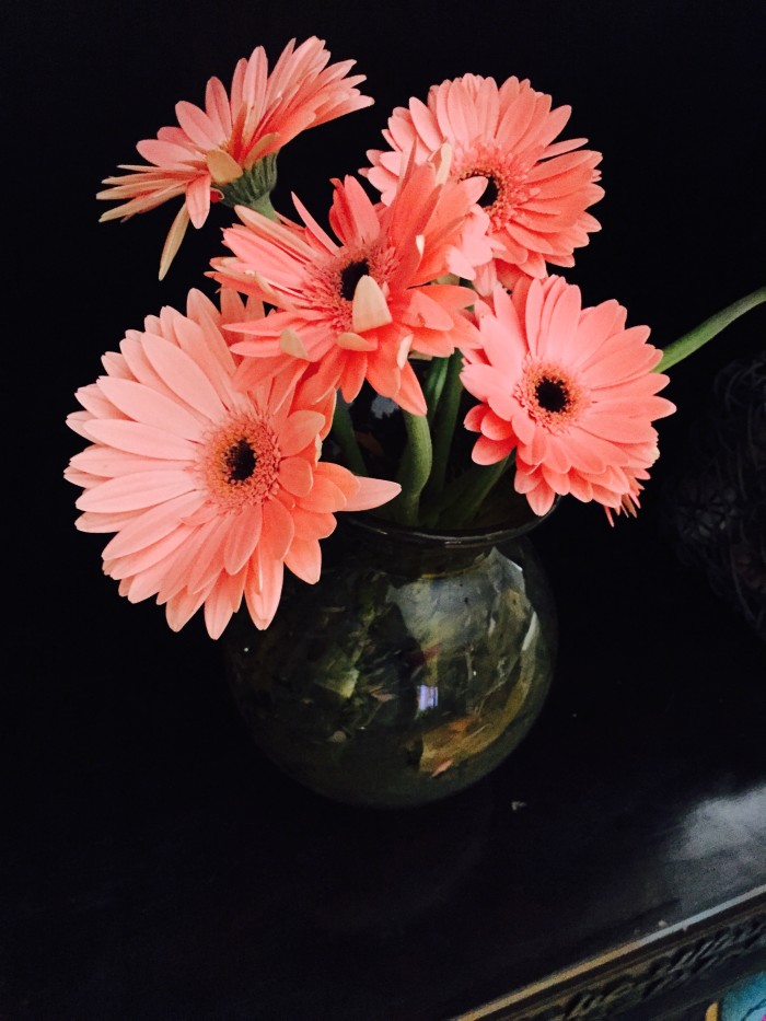 How to Keep your Roses Alive in a Vase