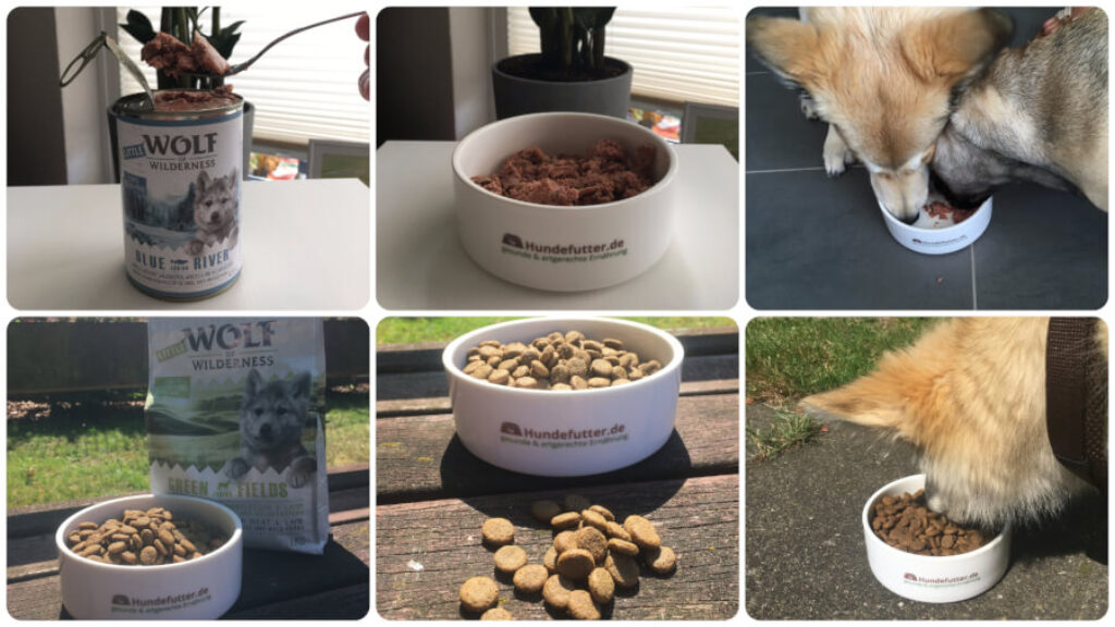 Wolf of Wilderness Hundefutter (im Praxistest 2020)