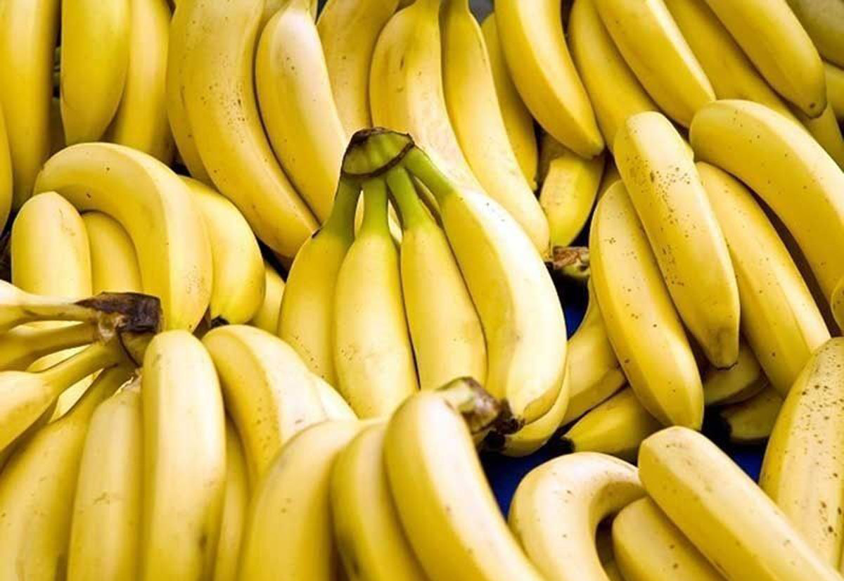 Bananas Boost Phl’s Exports Despite COVID19 Pandemic OneNews.PH