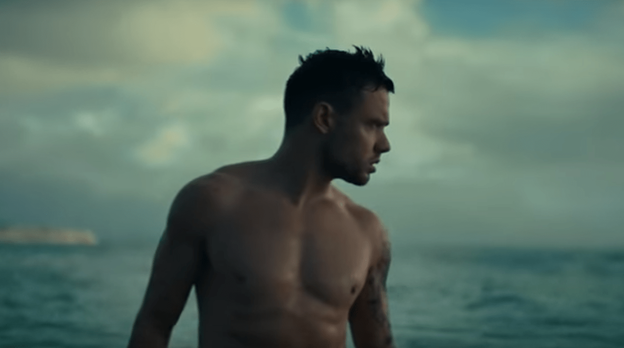 Liam Payne, Cheat Codes Live Forever L'1dex