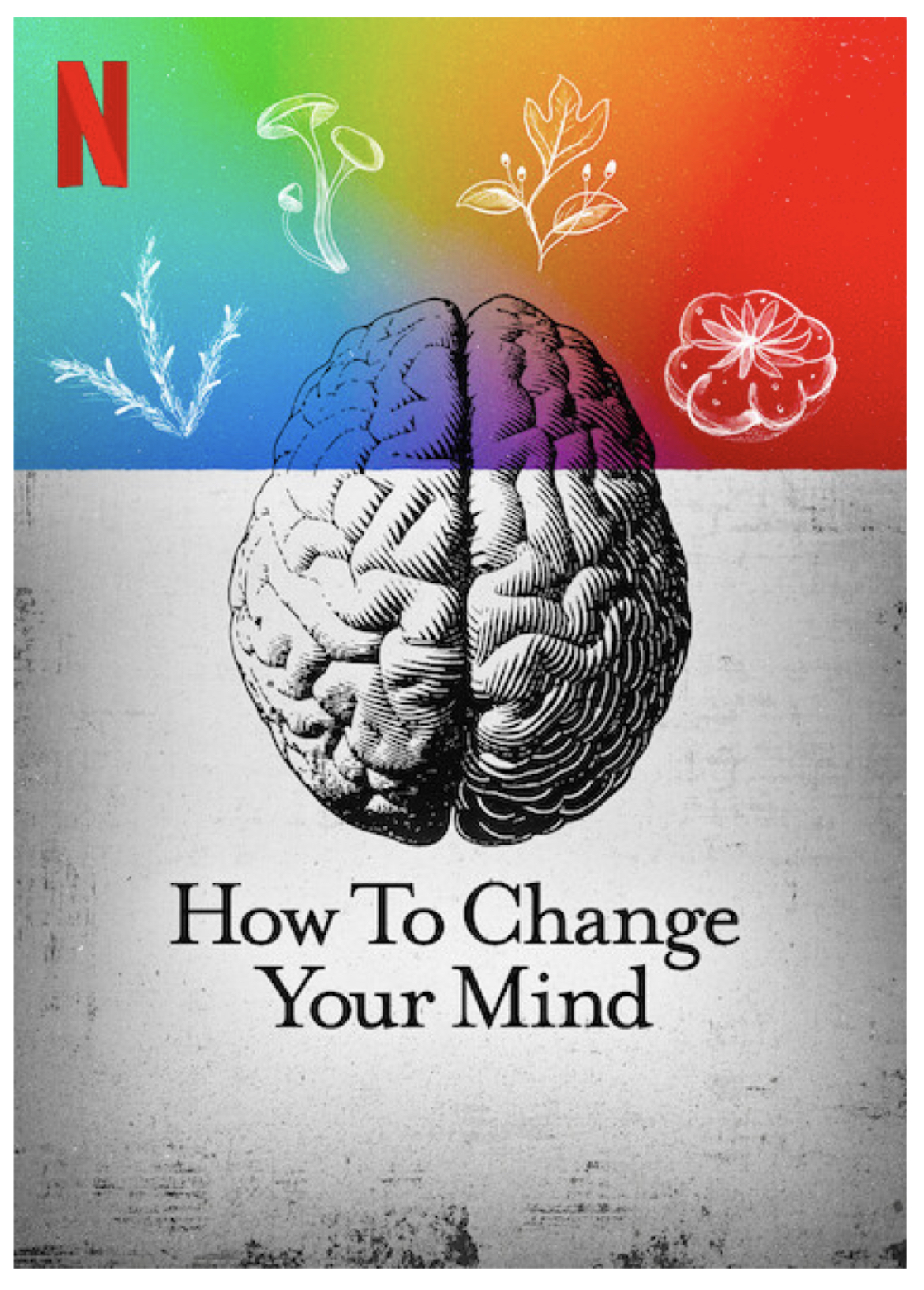 Psychedelics go mainstream How to change Your Mind Netflix & Book