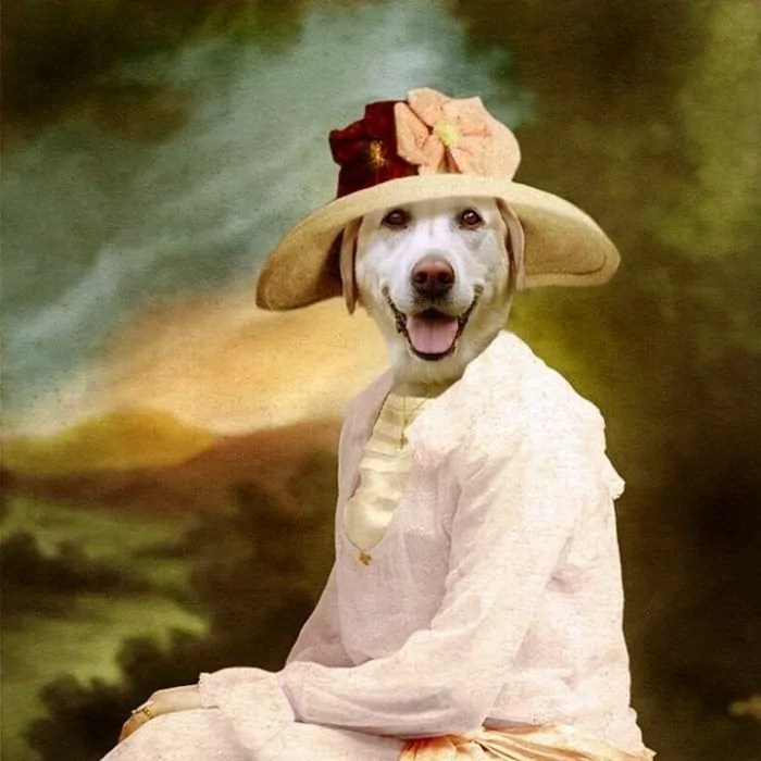 Dog Portrait
